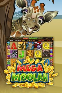 Mega moolah video slot