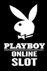 PlayBoy video slot